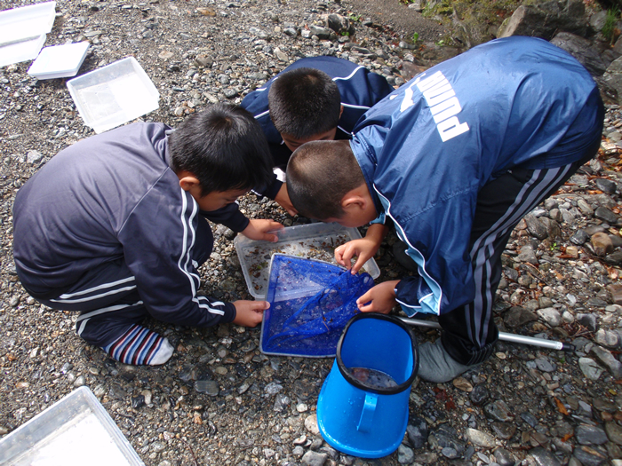 高尾山の麓で水辺の生きもの観察