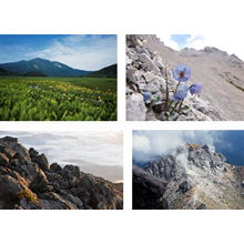 高尾599ミュージアム　10月のイベント<br />「日本山岳会写真展」「クライミングウォール体験」「高尾山スペシャルハイキング」「高尾山ヨガ」