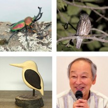 高尾599ミュージアム　7月～8月のイベント 「TAKAO599祭」「599ミニ企画展」「世界の虫展」「599TALK 」「599LIVE」「ミニ水棲生物園」「納涼うちわ作り」「ミニカワセミを作ろう！」「599miniパネル展」「ナイトハイク」他