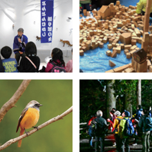 高尾599ミュージアム　1月～4月のイベント<br />「ミニ水生生物園」「高尾の昔話語り」「599ミニ企画展」「麓のバードウォッチング」「バードカービング体験」「ムササビ観察会」「木工体験」「日本遺産ガイドツアー」「高尾の森と生き物たち展」
