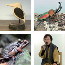 高尾599ミュージアム　7月～9月のイベント<br />「ミニ水生生物園」「高尾の昔話語り」「日本遺産ガイドツアー」「木工体験」「高尾山ヨガ」「599ミニ企画展」「納涼ウチワ作り」「世界の虫展」「バードカービング体験」