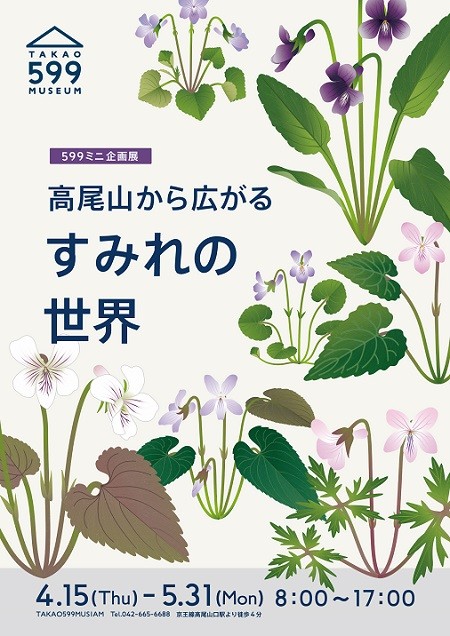 高尾山から広がるスミレの世界