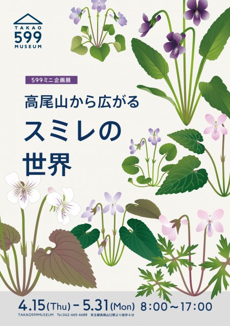 高尾山から広がるスミレの世界