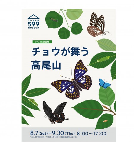 チョウが舞う高尾山