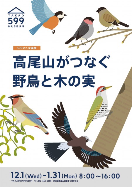 高尾山がつなぐ野鳥と木の実