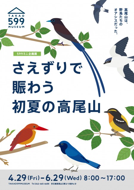 さえずりで賑わう初夏の高尾山