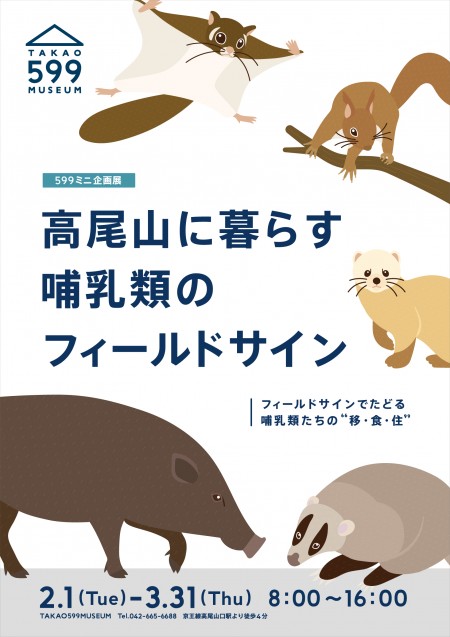 高尾山の哺乳類とフィールドサイン