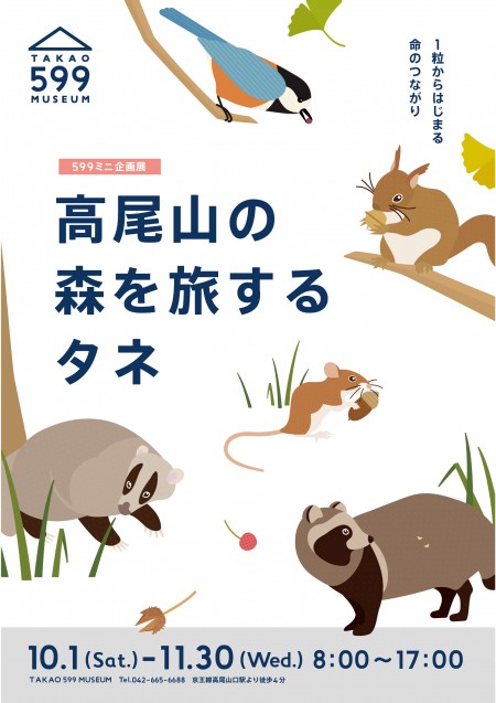 高尾山の森を旅するタネ