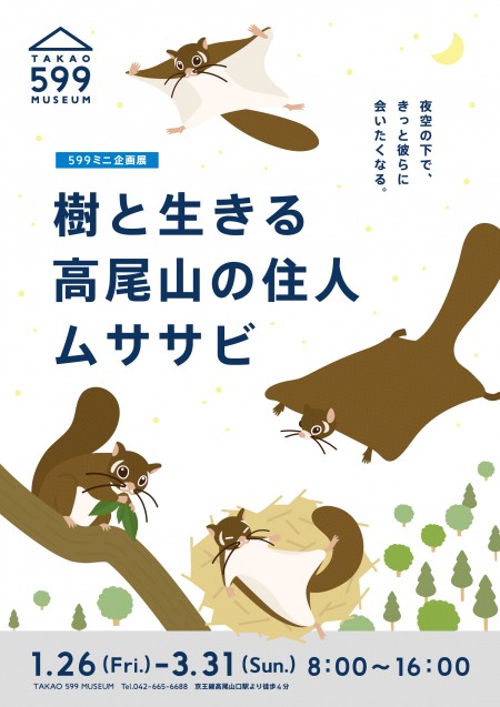 樹と生きる高尾山の住人ムササビ