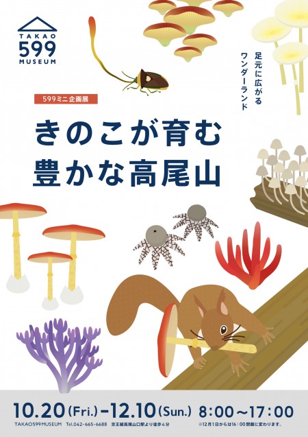 きのこが育む豊かな高尾山